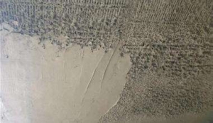 �ۺ����ˮɰ��