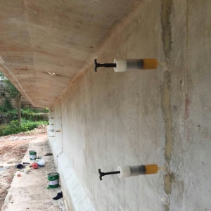 JGN804���Ի�����֬��콺