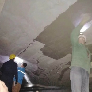 �����޲�ɰ���ӹ�ά���������� ���˽���